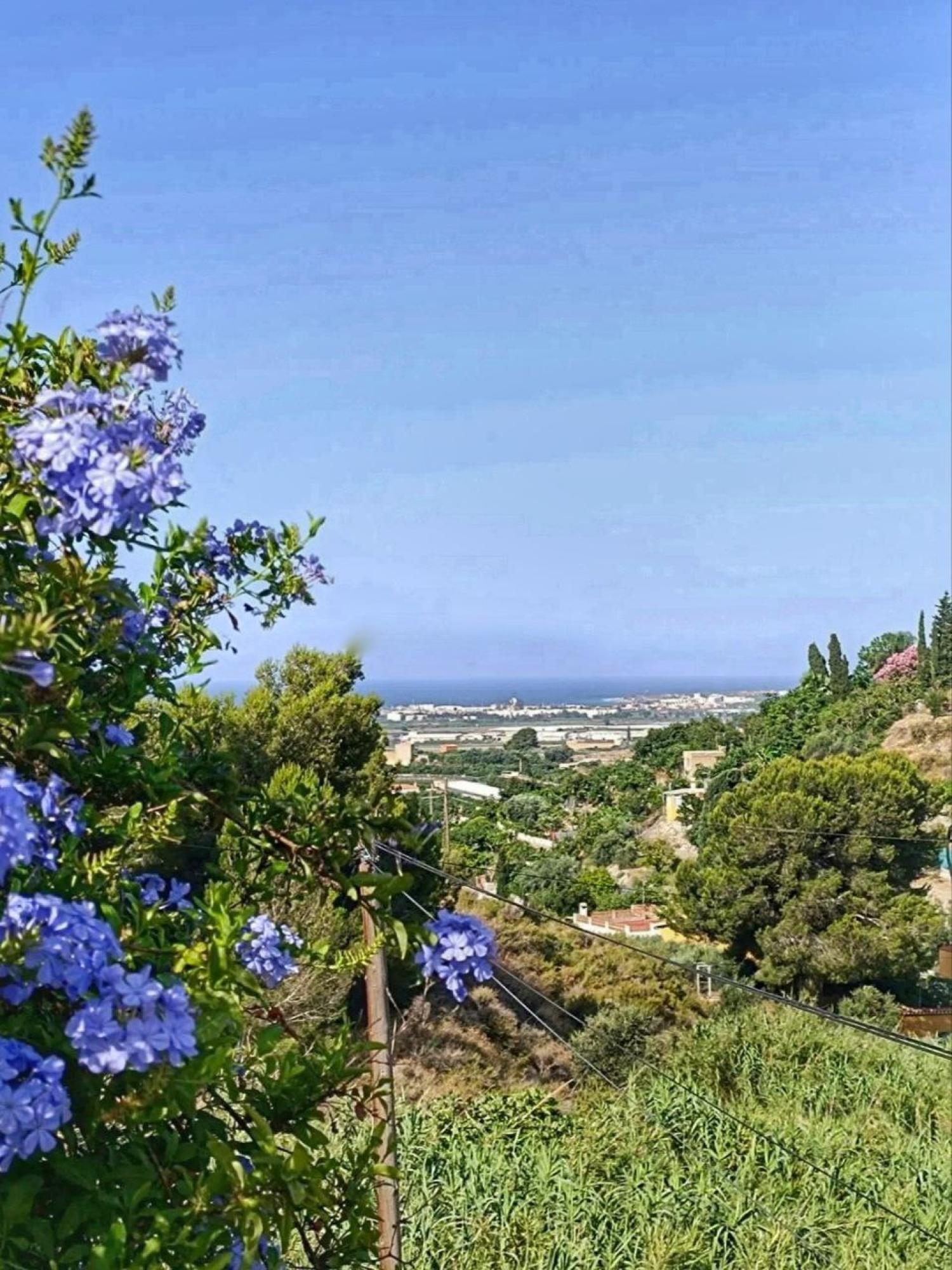  kaufen Landhaus Motril Costa Tropical 28