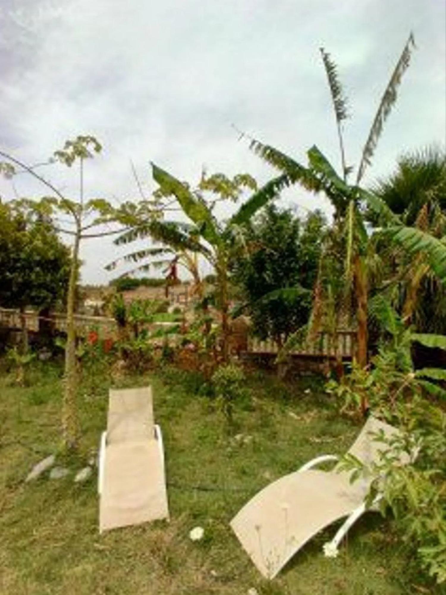  kaufen Landhaus Motril Costa Tropical 26