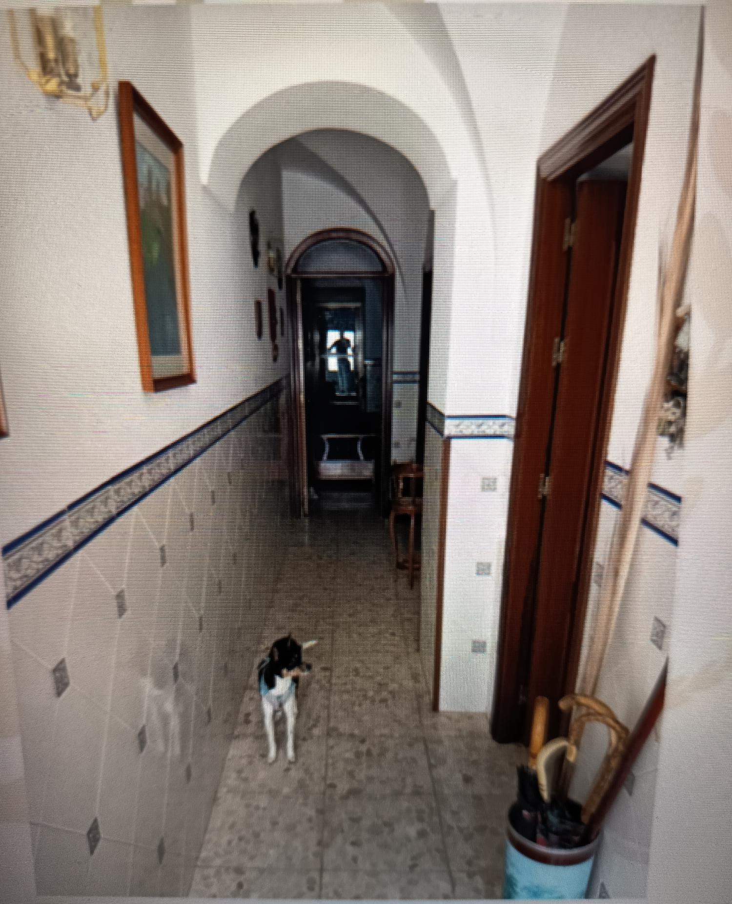  kaufen Haus Cardeña Pedroches (Los) 2