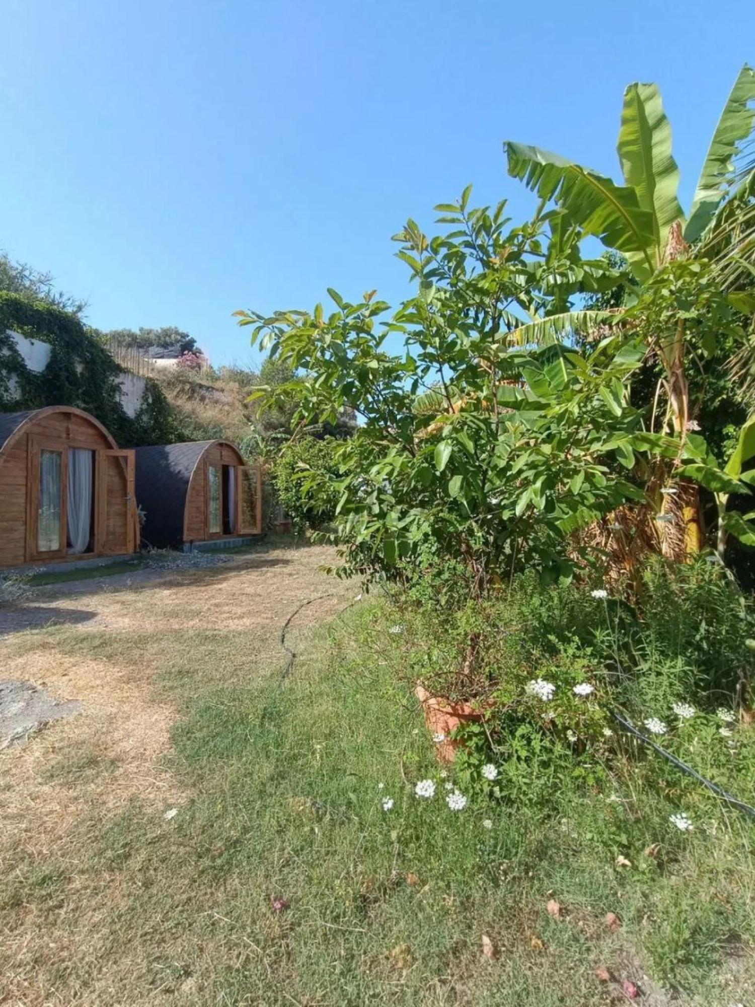  kaufen Landhaus Motril Costa Tropical 23