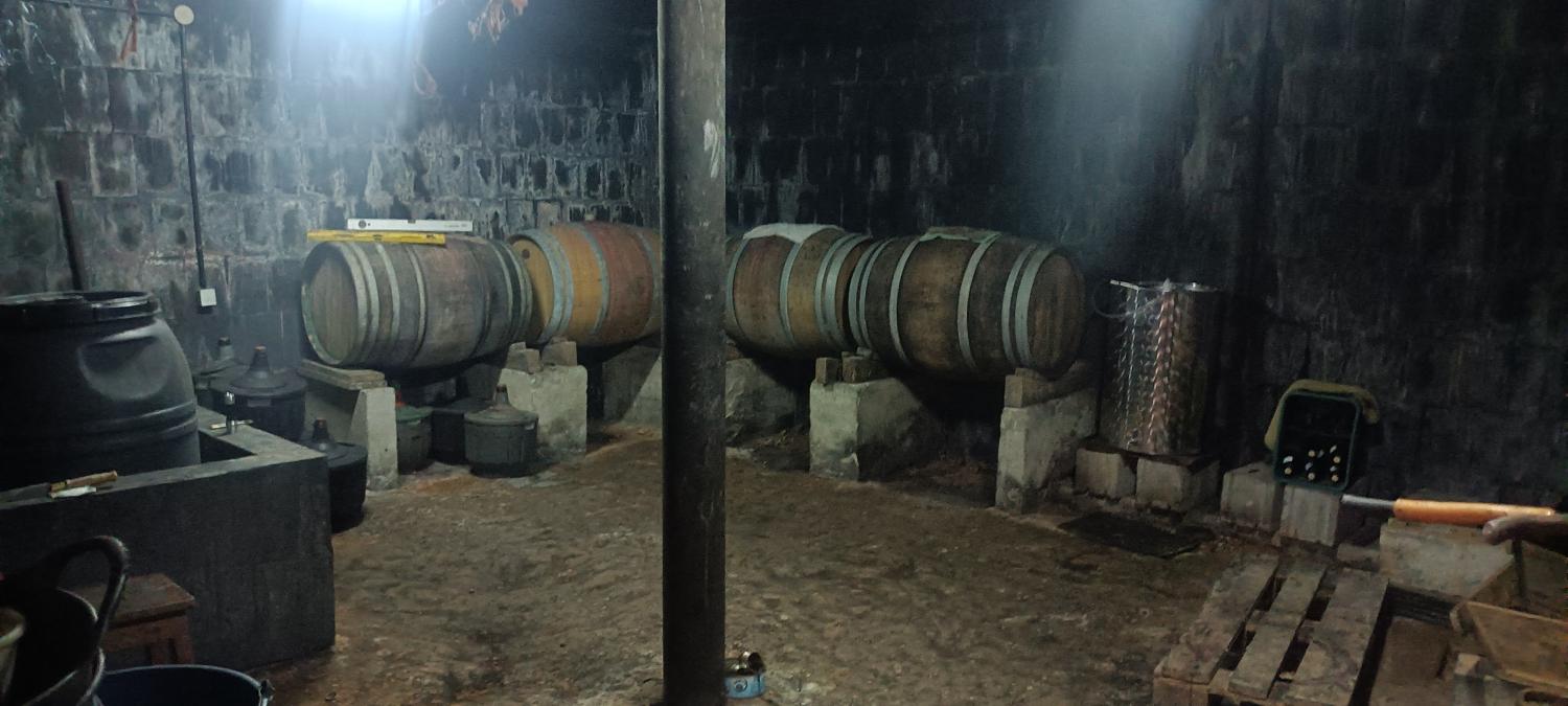  kaufen Villa Camponaraya Bierzo (El) 5
