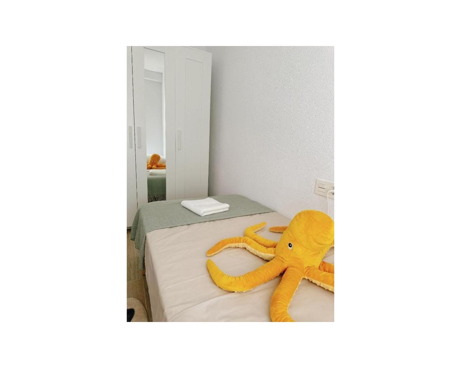  kaufen Wohnung Playa Del Cura Baix Segura 13