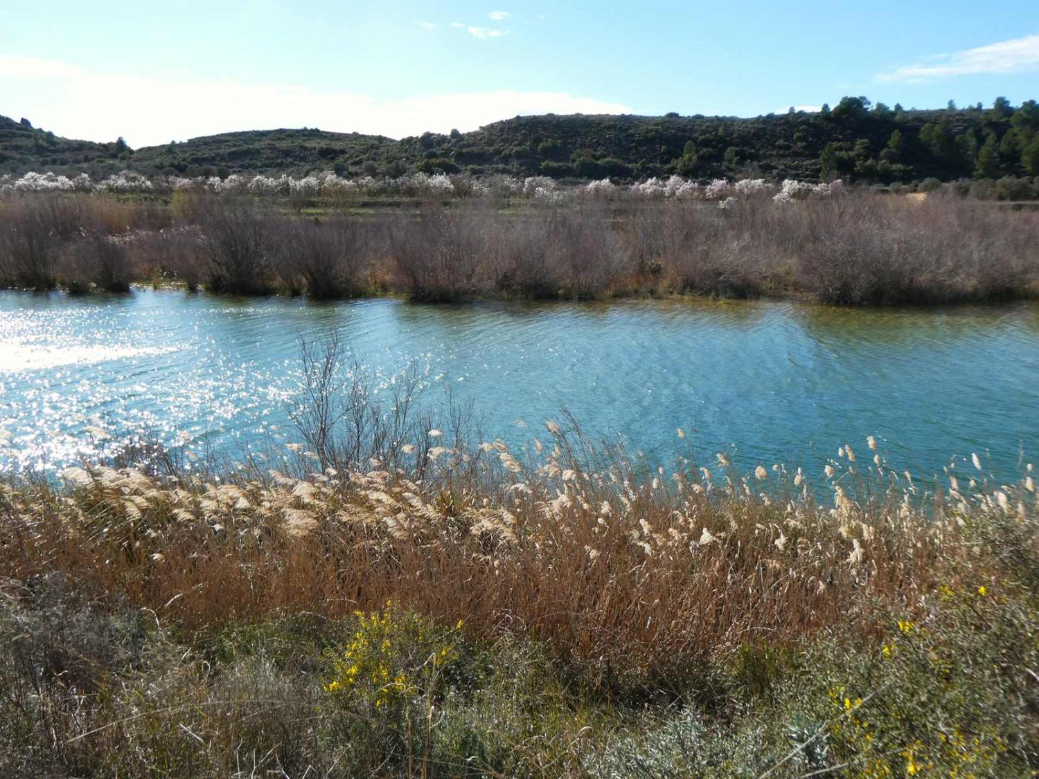  kaufen Landhaus Fabara Bajo Aragón-Caspe 4