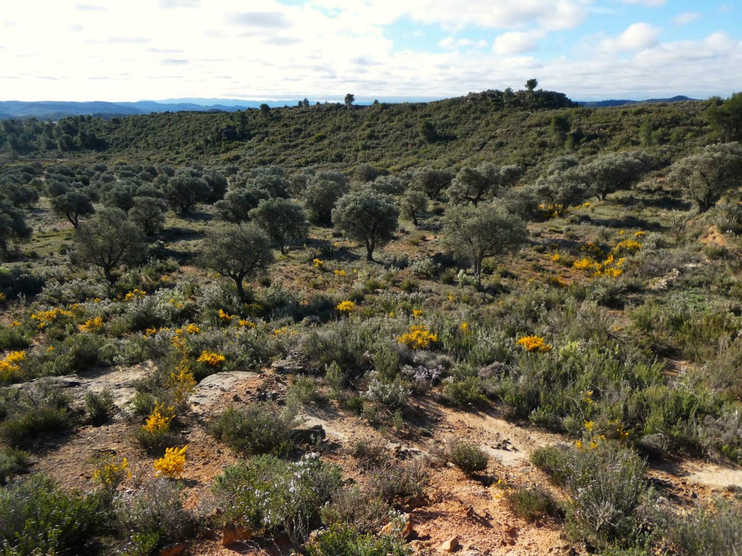  kaufen Landhaus Fabara Bajo Aragón-Caspe 27
