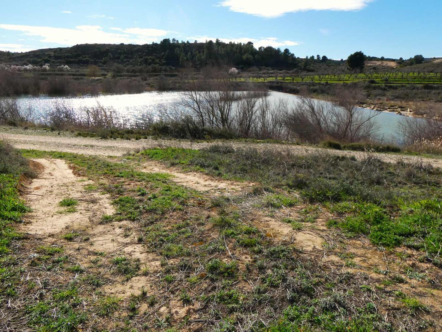  kaufen Landhaus Fabara Bajo Aragón-Caspe 33