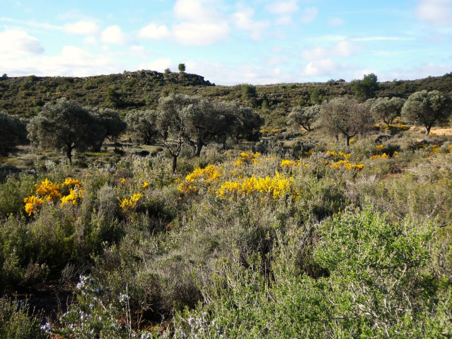  kaufen Landhaus Fabara Bajo Aragón-Caspe 26