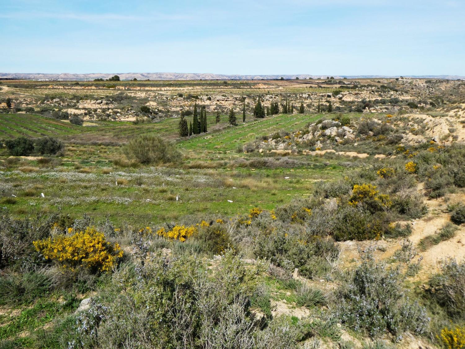  kaufen Landhaus Caspe Bajo Aragón-Caspe 38