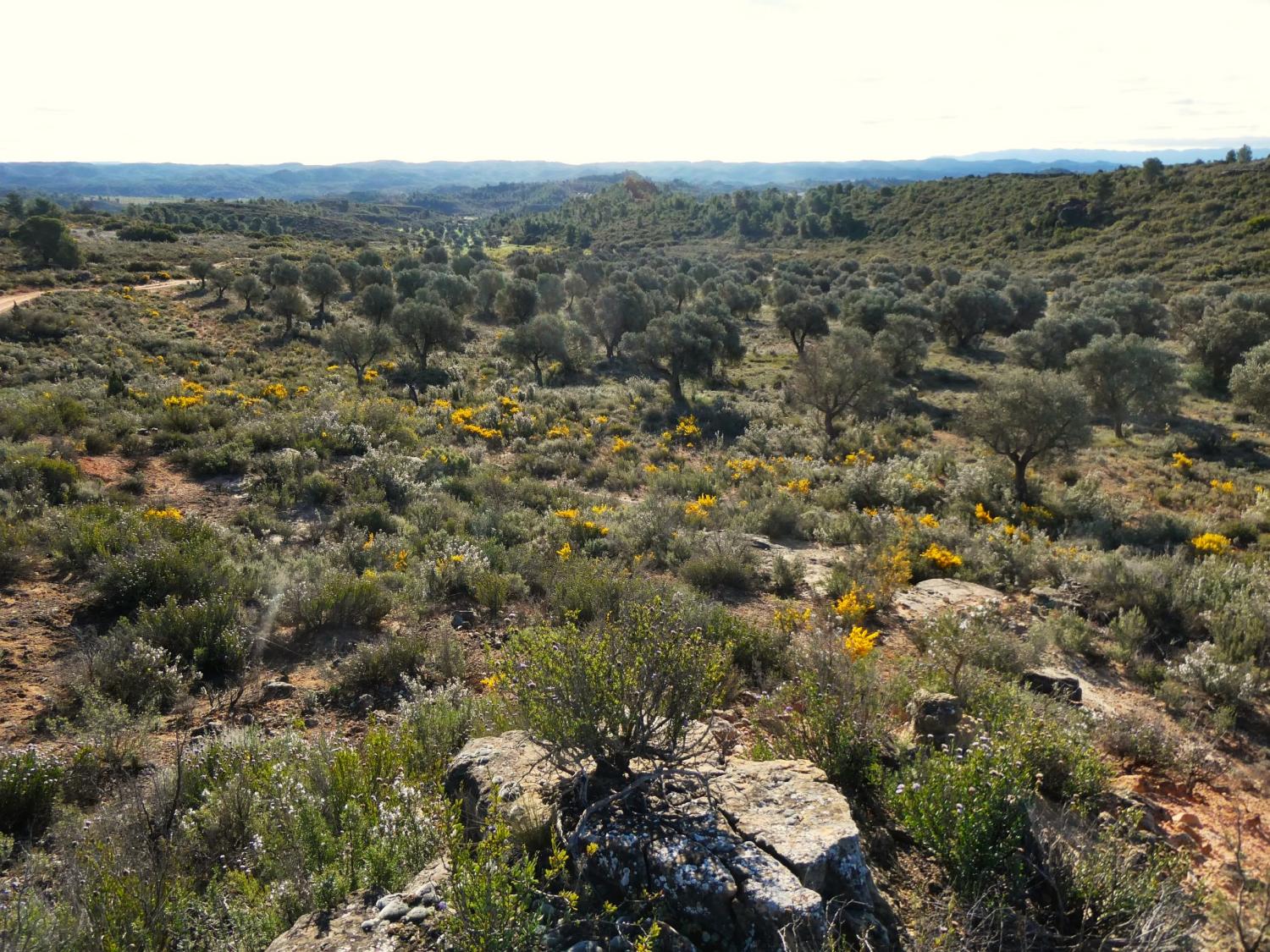  kaufen Landhaus Fabara Bajo Aragón-Caspe 28