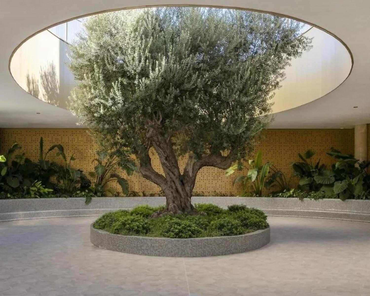  kaufen Wohnung Benidorm Marina Baixa 35