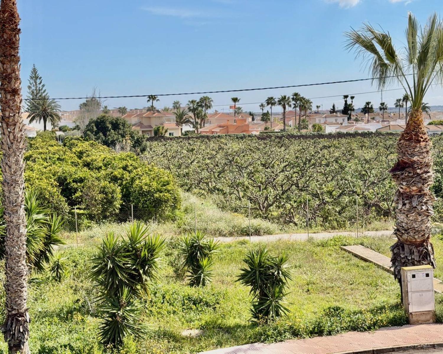  kaufen Wohnung Ciudad Quesada Baix Segura 14