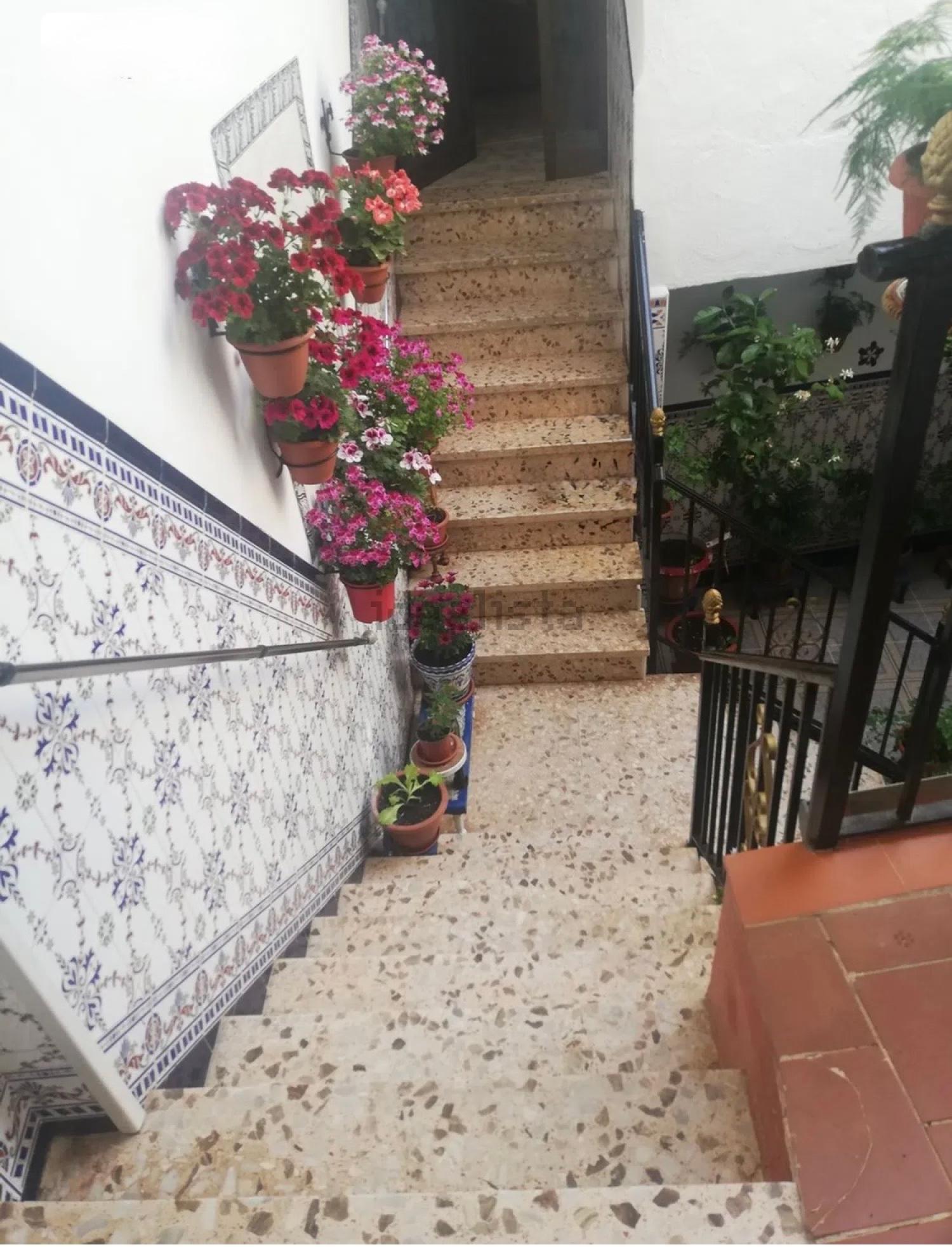  kaufen Haus Montoro Alto Guadalquivir 21