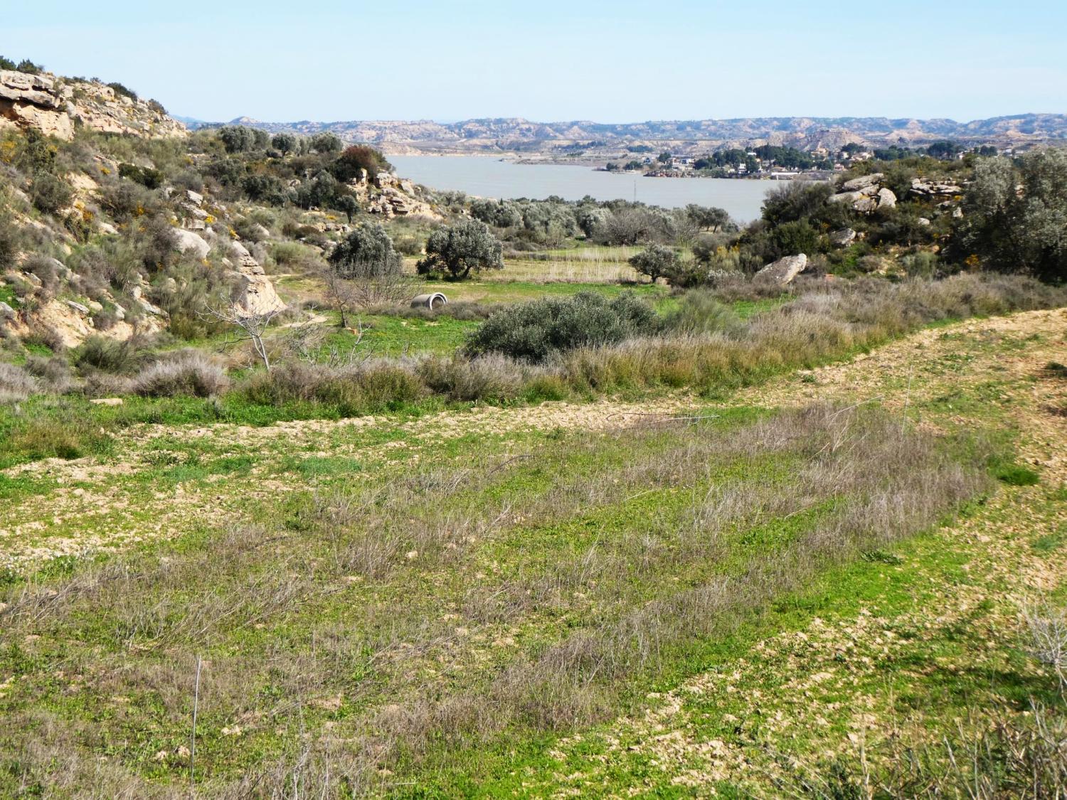  kaufen Landhaus Caspe Bajo Aragón-Caspe 32