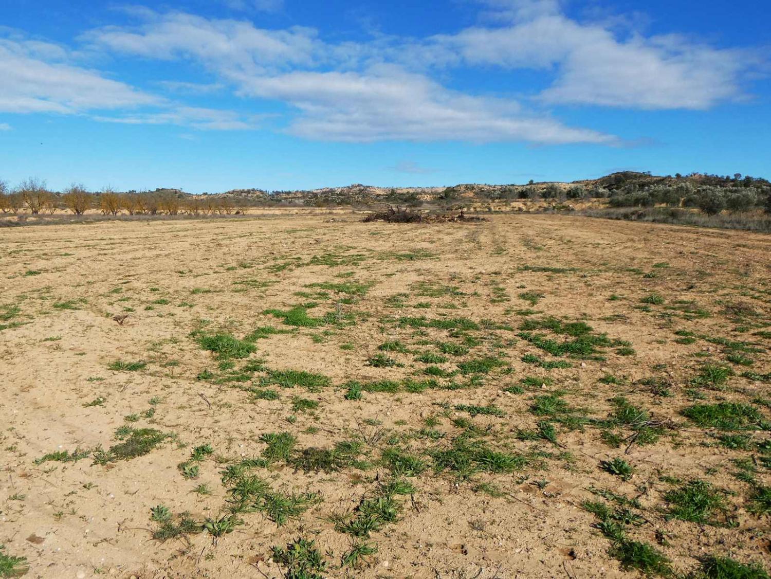  kaufen Landhaus Fabara Bajo Aragón-Caspe 17
