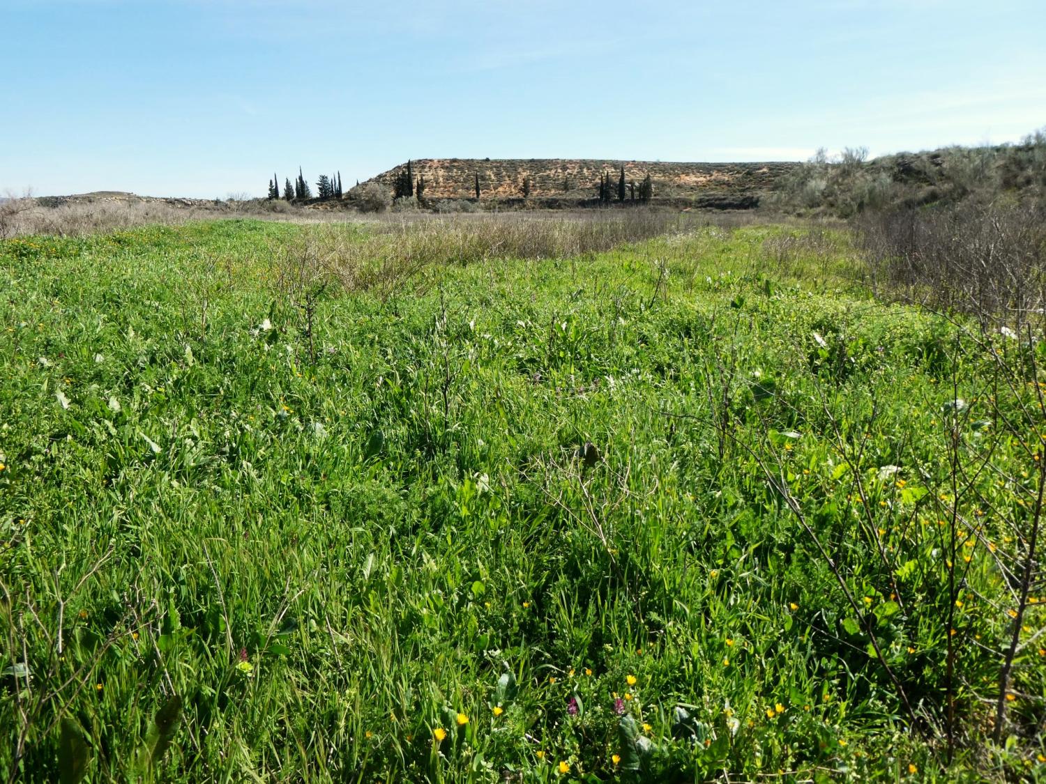  kaufen Landhaus Caspe Bajo Aragón-Caspe 33