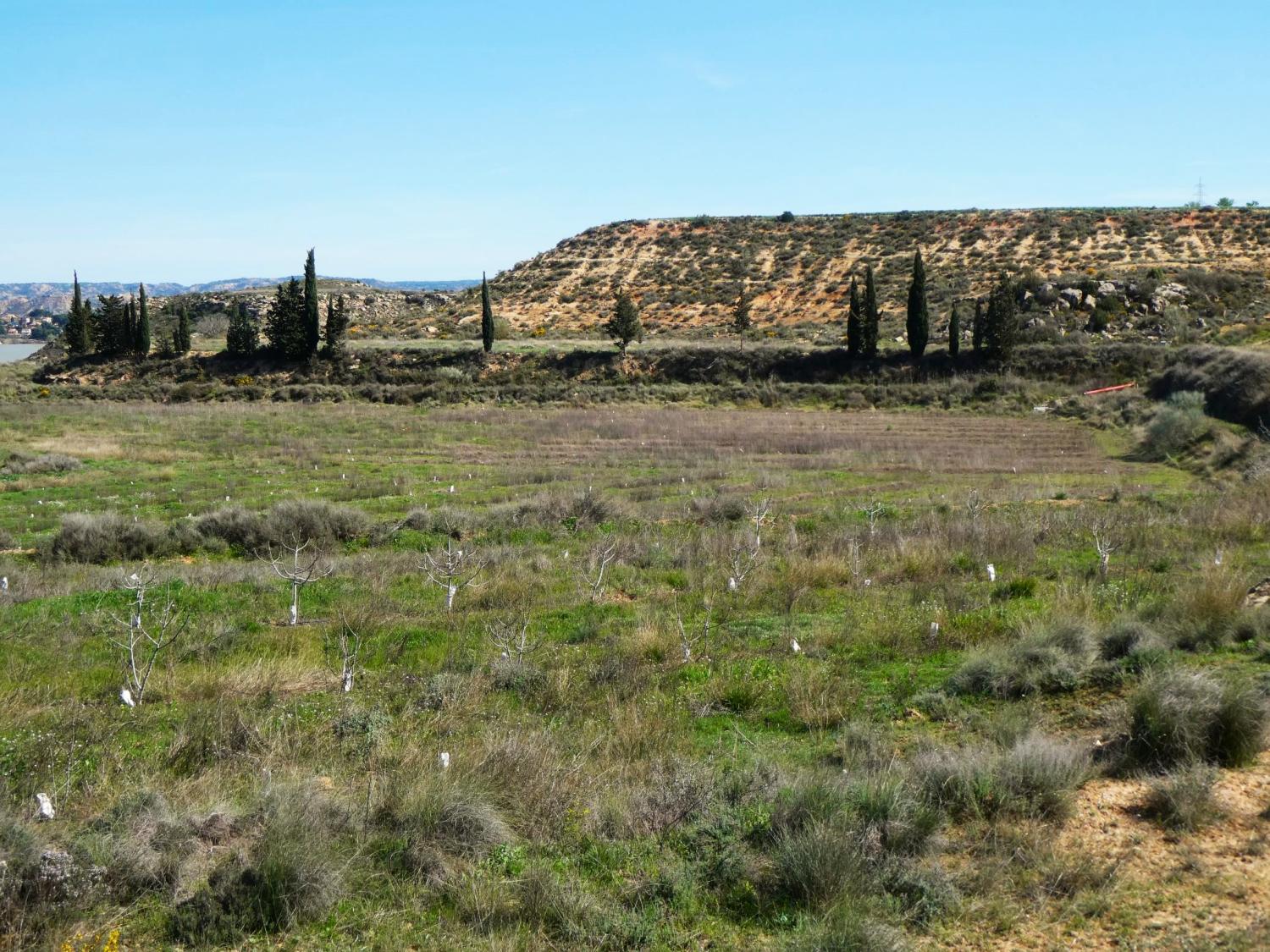  kaufen Landhaus Caspe Bajo Aragón-Caspe 34