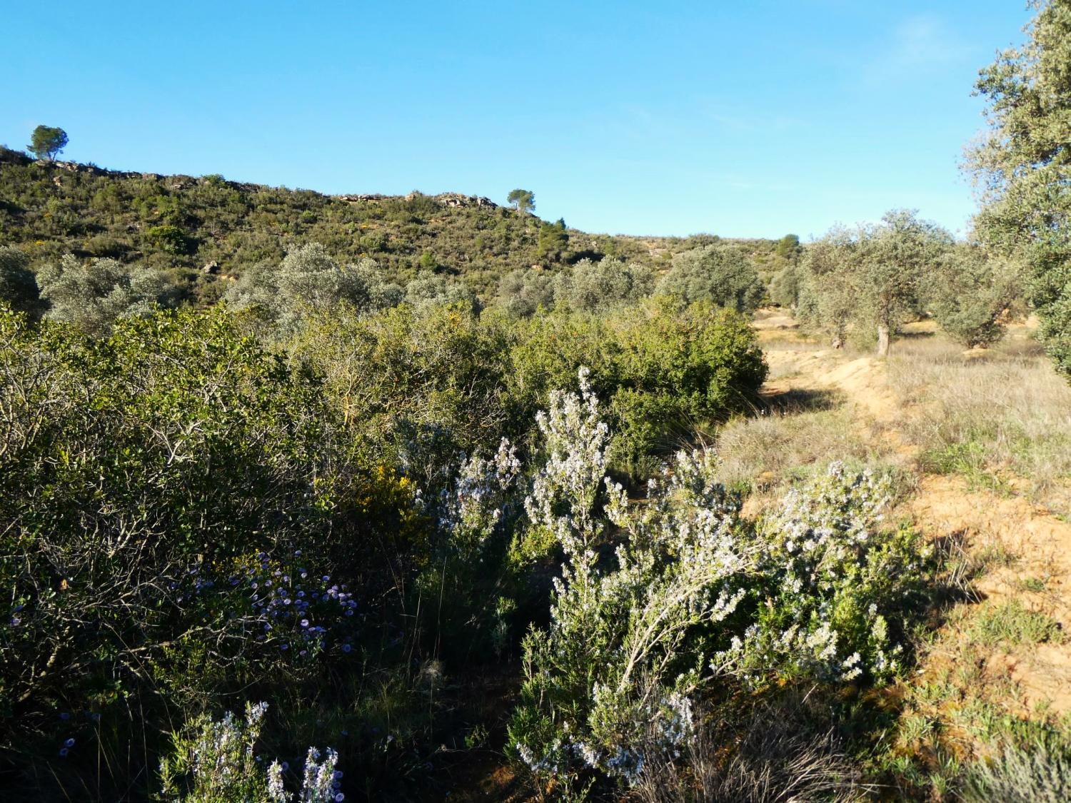  kaufen Landhaus Fabara Bajo Aragón-Caspe 14