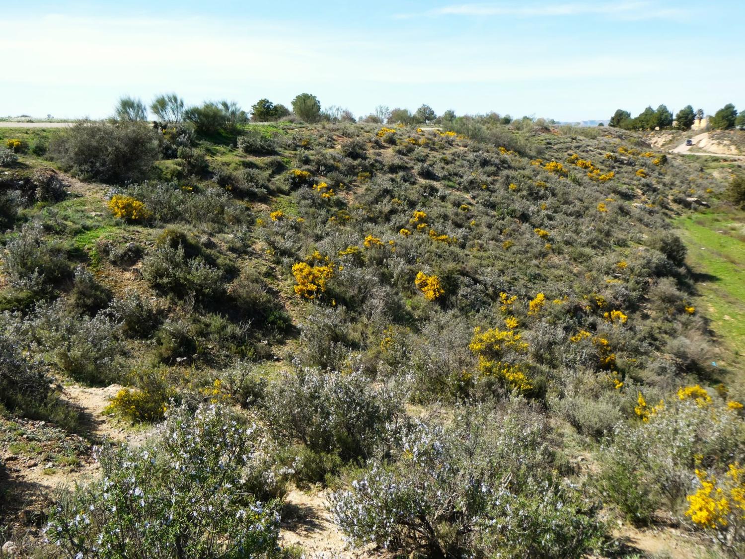  kaufen Landhaus Caspe Bajo Aragón-Caspe 36