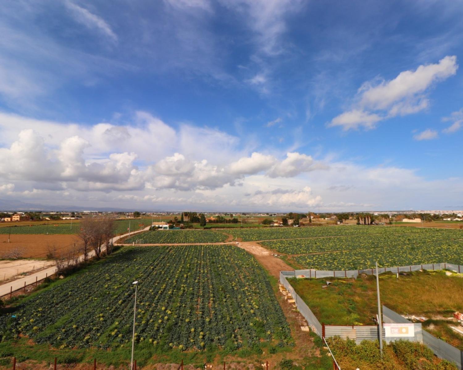  kaufen Wohnung Daya Vieja Baix Segura 5