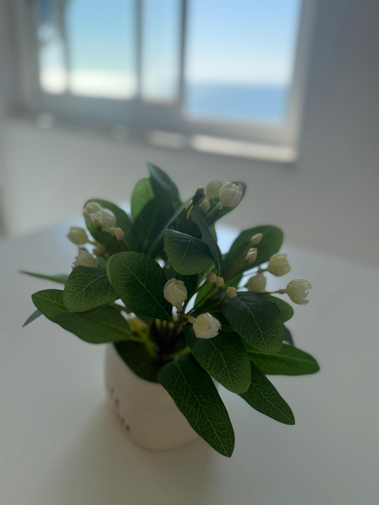  kaufen Wohnung Santa Pola Baix Vinalopó 16