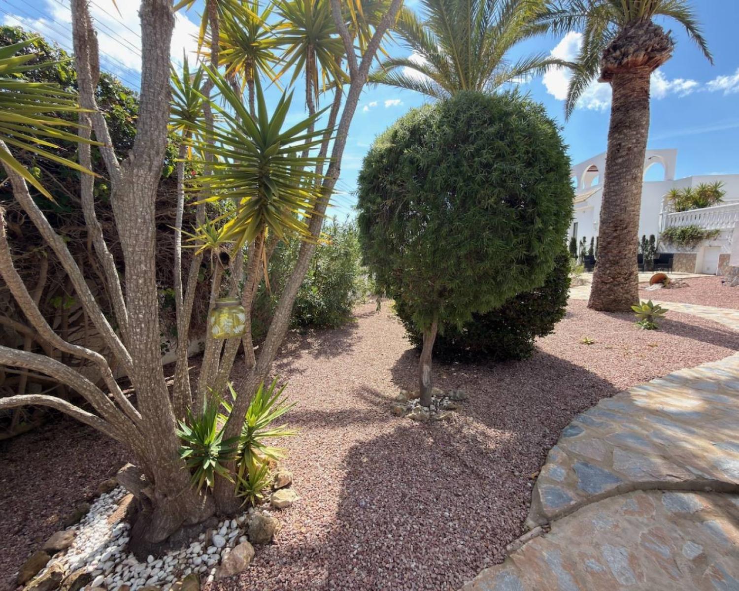 kaufen Villa Guardamar Del Segura Baix Segura 17