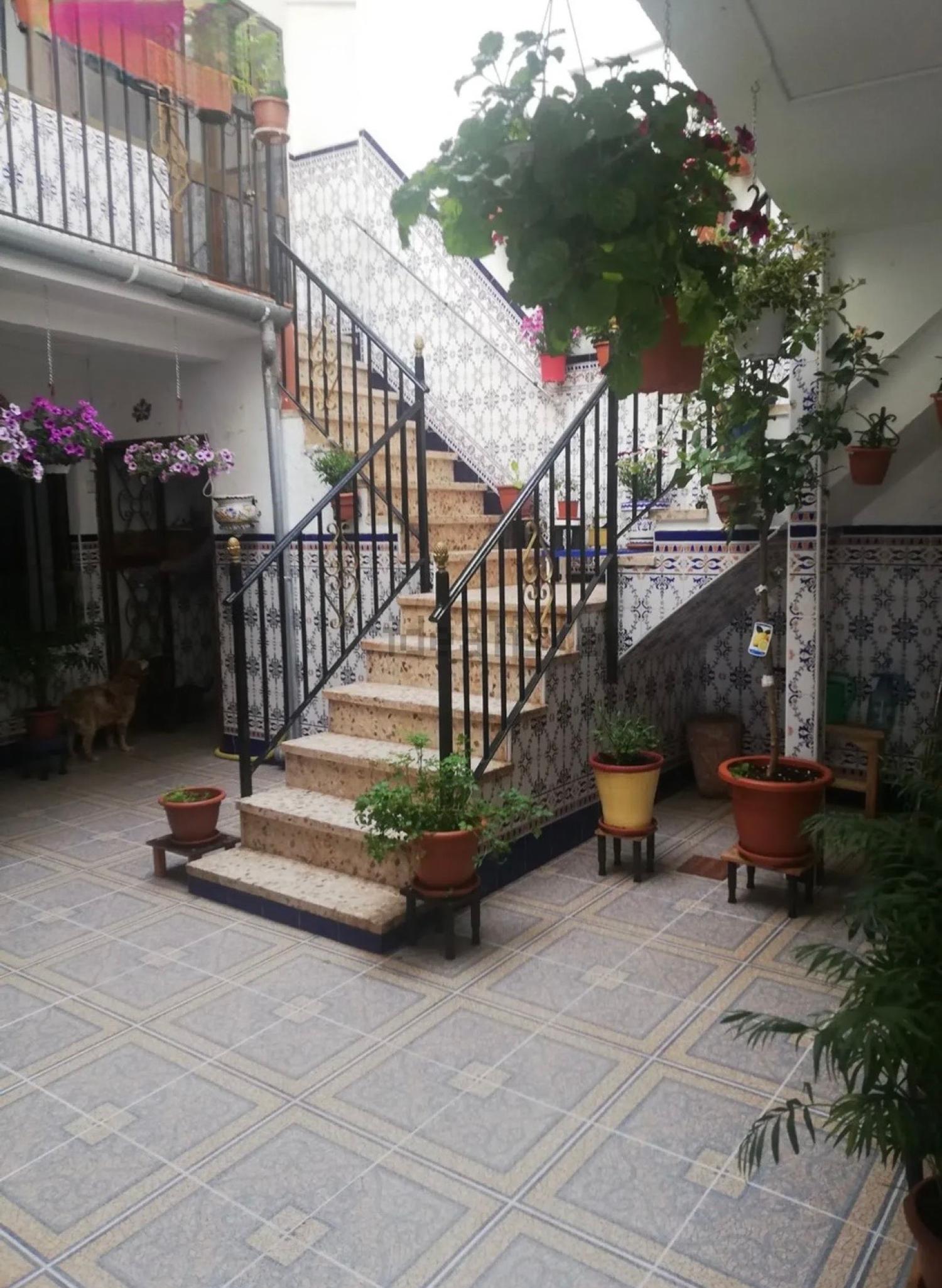  kaufen Haus Montoro Alto Guadalquivir 2