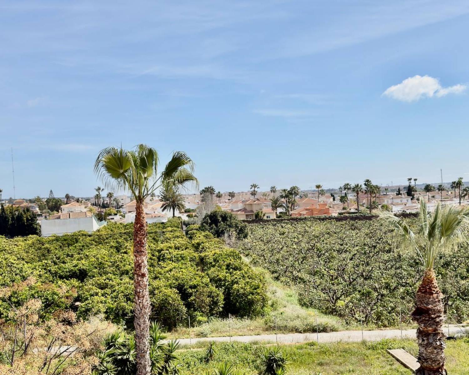  kaufen Wohnung Ciudad Quesada Baix Segura 16