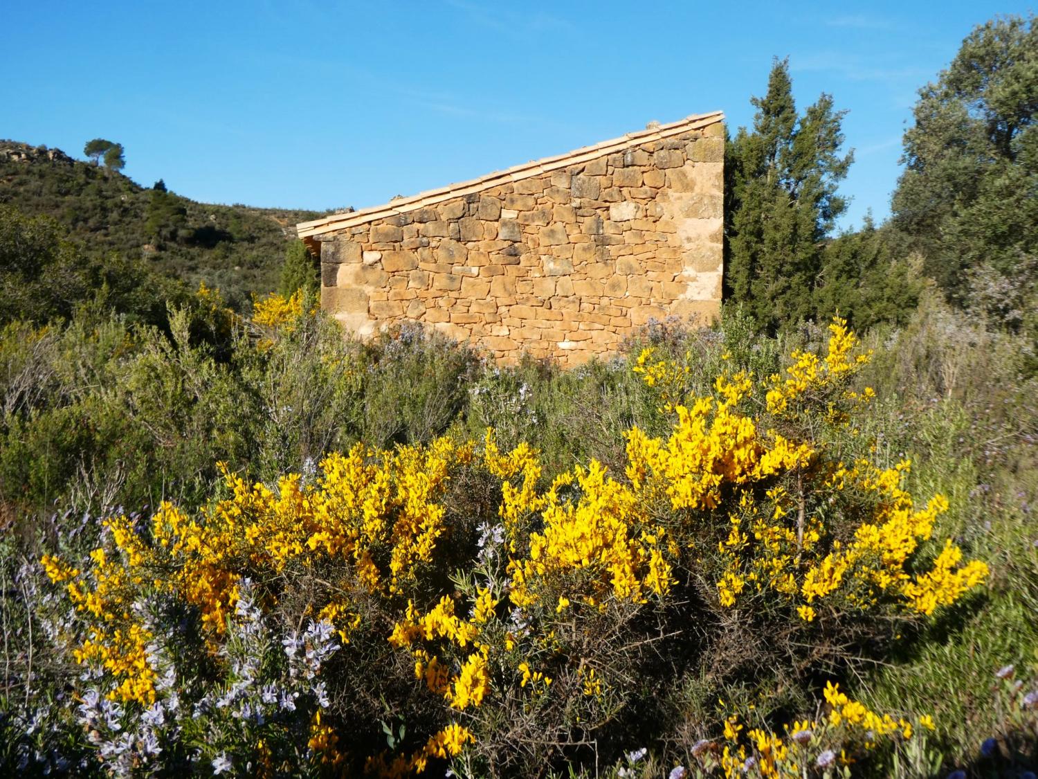  kaufen Landhaus Fabara Bajo Aragón-Caspe 5
