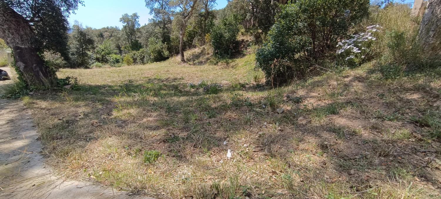 kaufen Grundstück Fontbona Gironès 3
