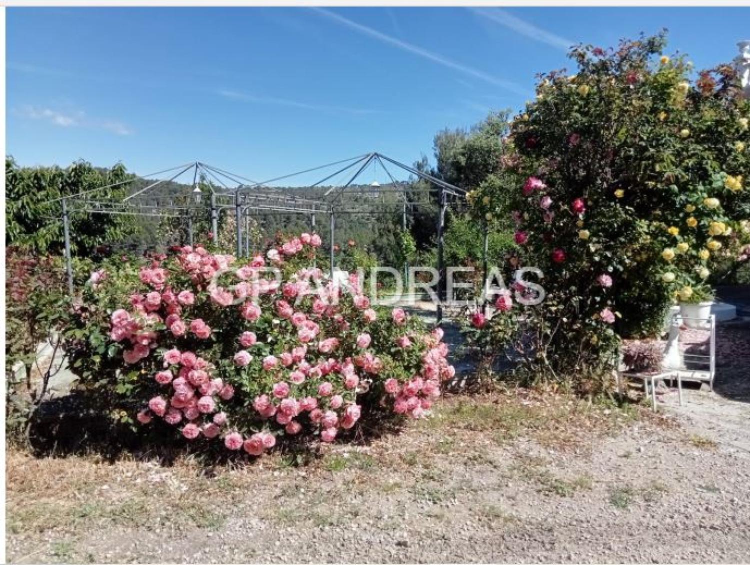  kaufen Villa Alcoi 03803 Alcoia 40