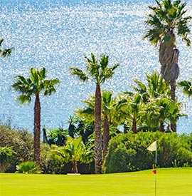 Immobilien in der Nähe von Golfplätzen