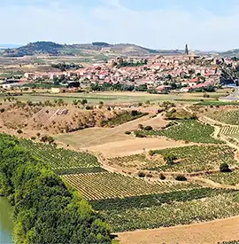 Immobilien in Spaniens bekannten Weinregionen